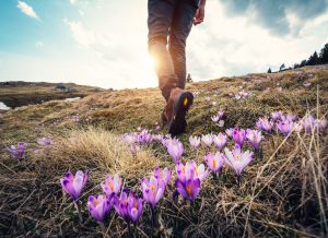 Person hiking in a field with flowers.